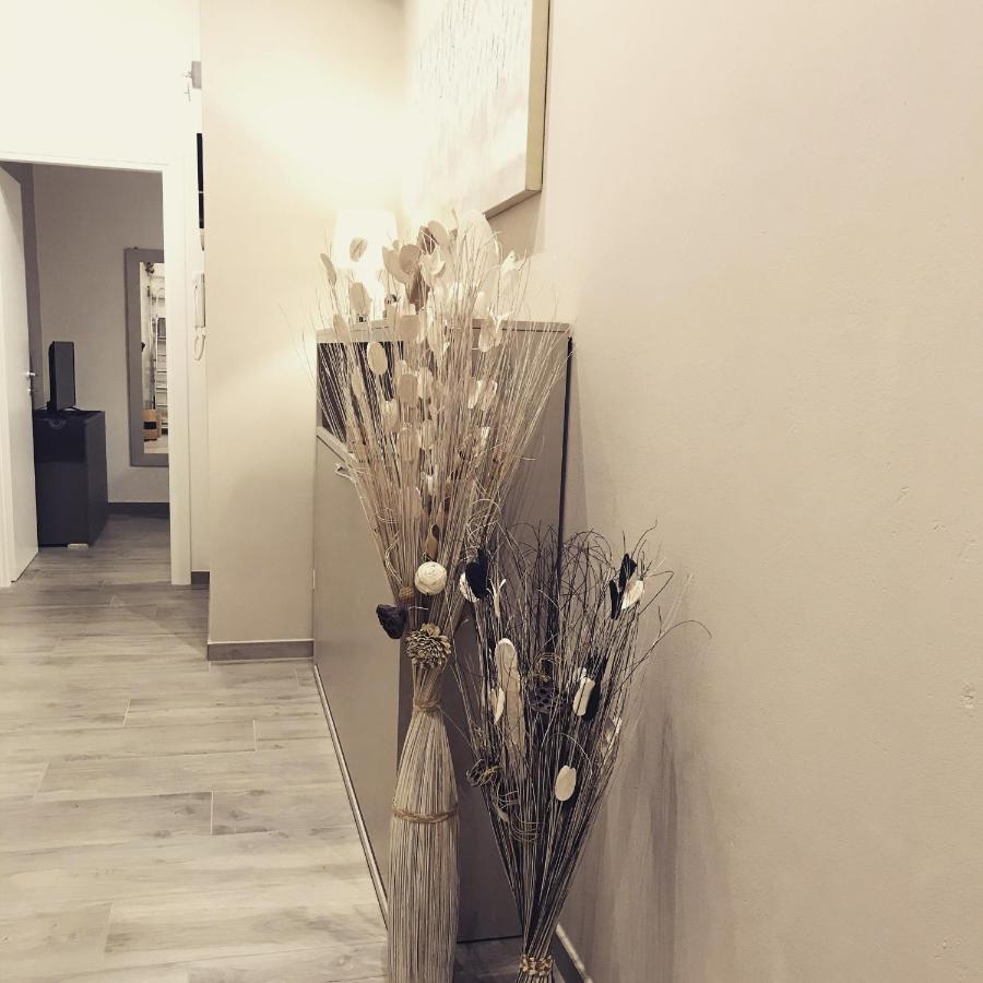 Ca Nicola 2 Apartment Cortemaggiore Luaran gambar
